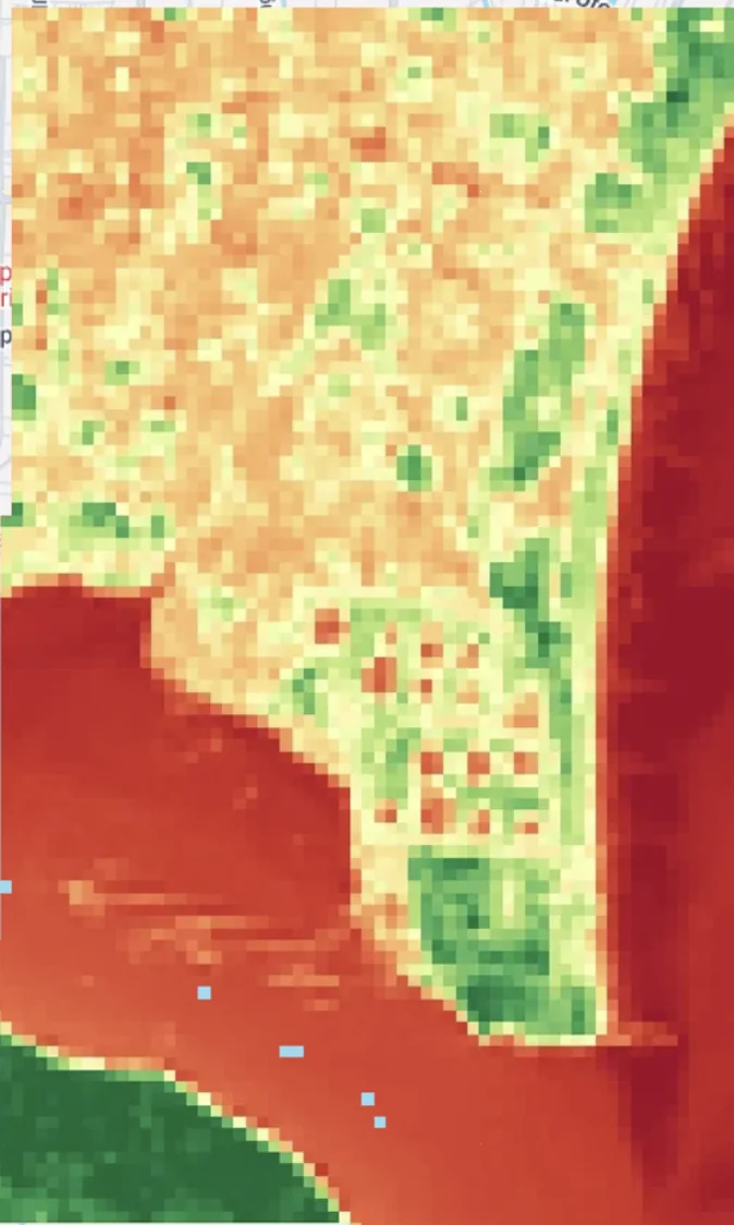 NDVI result preview